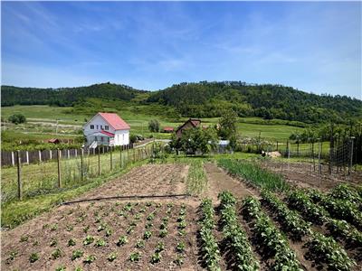 Vand casa cu 7 cam, 3 bai, si teren 3800 mp in Voiniceni