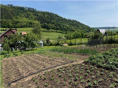 Vand casa cu 7 cam, 3 bai, si teren 3800 mp in Voiniceni