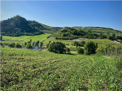 Vand teren intravilan in Sanisor cu suprafata de 4946 mp