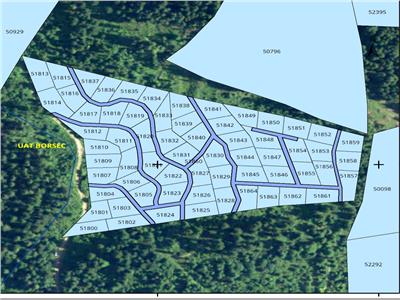 Padure de vanzare sup. 3.6 ha la 400 m de drum asfaltat in Boresc