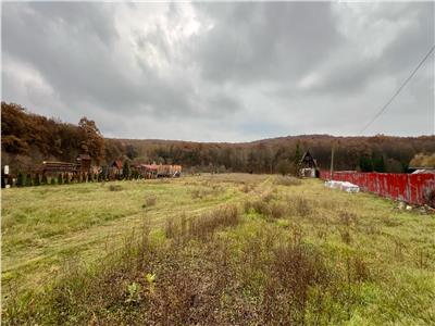 Vand parcele de teren in Corunca zona Valea Iubirii