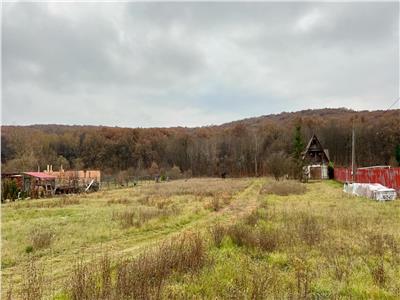 Vand parcele de teren in Corunca zona Valea Iubirii