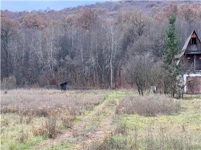 Vand parcele de teren in Corunca zona Valea Iubirii